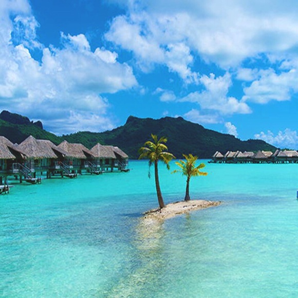 Meet your Posher, Lily - Picture 1 of 1